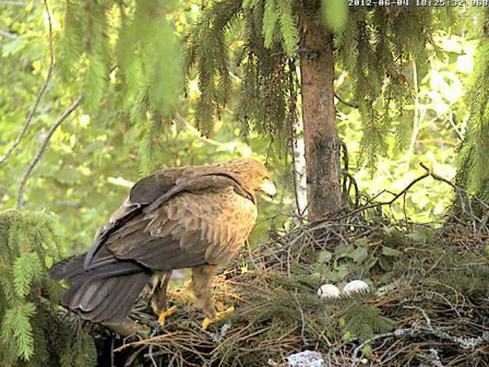 vlcsnap-2012-06-04-18h26m56s174.png