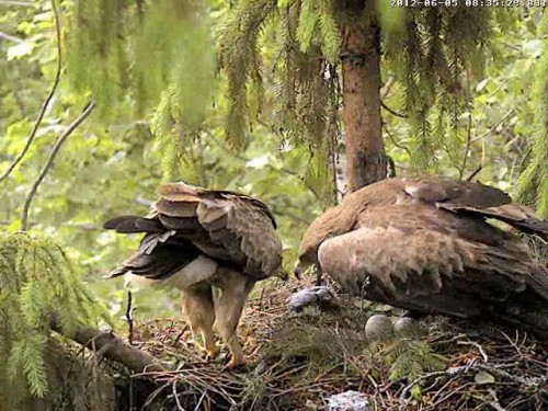 vlcsnap-2012-06-05-08h37m21s22.jpg