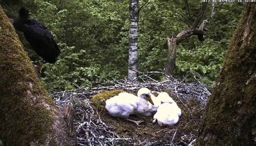 vlcsnap-2012-06-05-18h41m27s241.jpg
