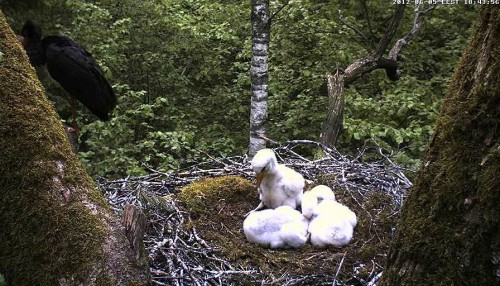 vlcsnap-2012-06-05-18h44m18s161.jpg