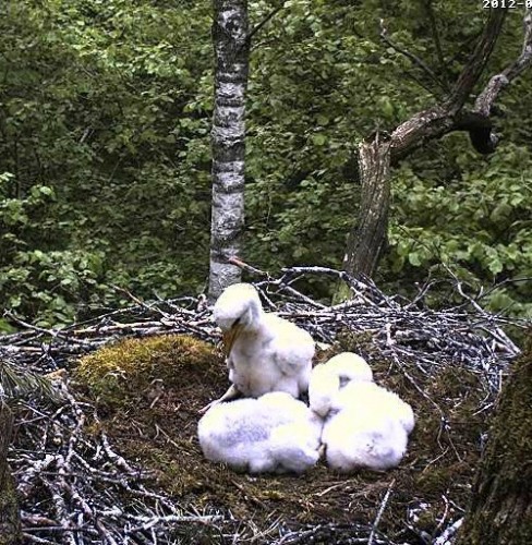 vlcsnap-2012-06-05-18h44m18s161.jpg