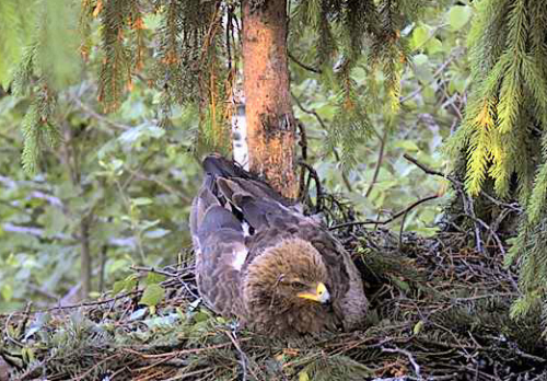vlcsnap-2012-06-06-20h34m37s175.png