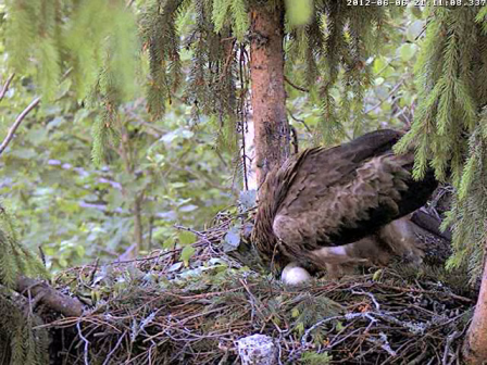 vlcsnap-2012-06-06-21h12m45s99.png
