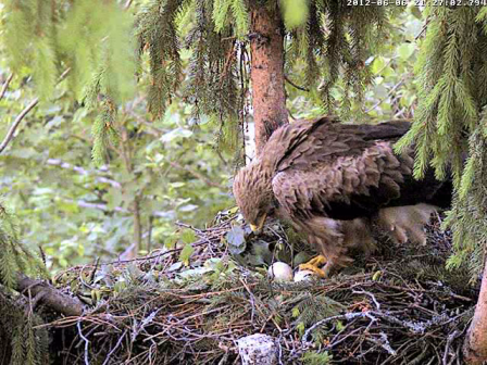 vlcsnap-2012-06-06-21h28m45s219.png