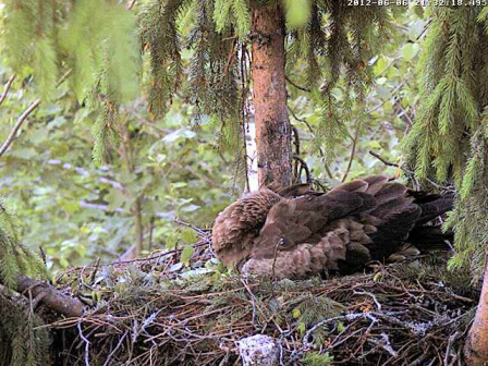 vlcsnap-2012-06-06-21h34m13s171.png