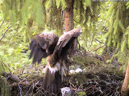 vlcsnap-2012-06-07-04h55m38s54.png
