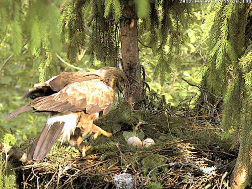 vlcsnap-2012-06-07-17h58m27s60.png
