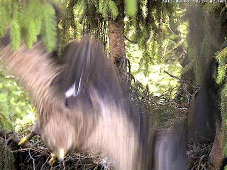 vlcsnap-2012-06-07-18h25m41s211.png