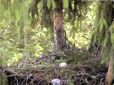 vlcsnap-2012-06-07-18h29m17s80.png