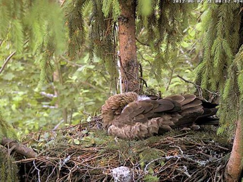 vlcsnap-2012-06-07-21h01m41s15.jpg