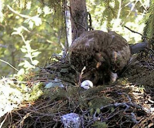vlcsnap-2012-06-08-18h14m13s104.jpg