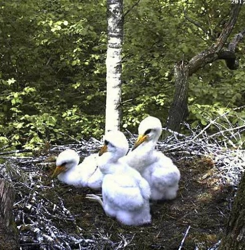 vlcsnap-2012-06-08-16h47m08s73.jpg