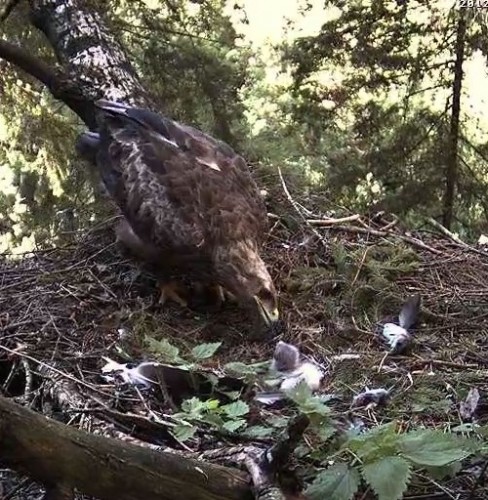 vlcsnap-2012-06-09-17h58m04s139.jpg