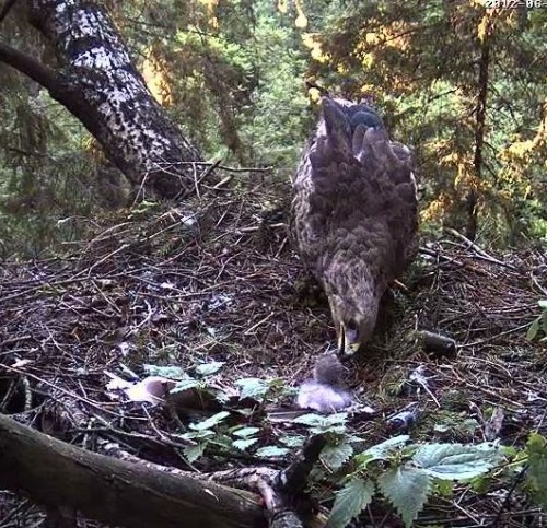 vlcsnap-2012-06-09-20h22m49s205.jpg