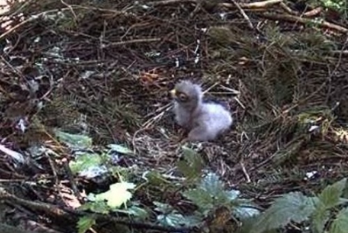 vlcsnap-2012-06-10-09h57m28s186.jpg