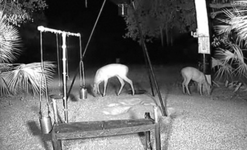 Florida_24_04.jpg