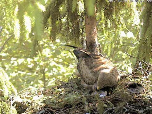 vlcsnap-2012-06-10-14h37m57s180.png