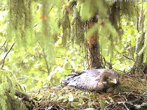 vlcsnap-2012-06-11-13h25m44s210.jpg