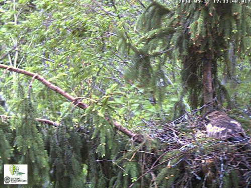 vlcsnap-2011-05-13-17h33m19s248.png