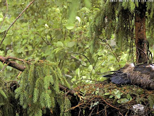 vlcsnap-2012-06-11-16h13m08s8.png