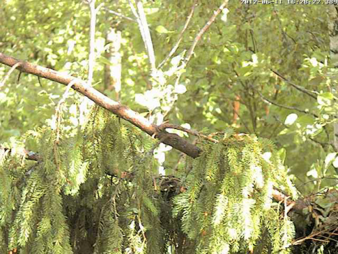 vlcsnap-2012-06-11-16h29m55s97.png
