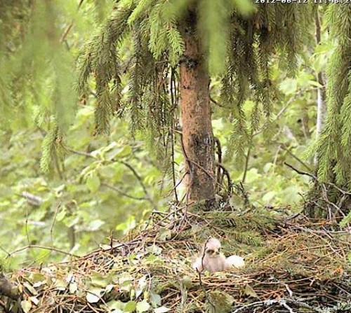 vlcsnap-2012-06-12-11h48m26s197.jpg