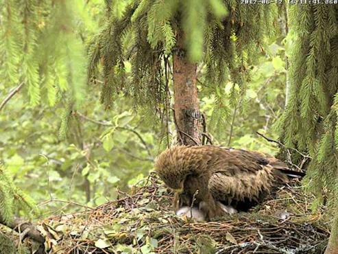 vlcsnap-2012-06-12-16h13m23s28.png