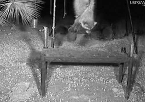 Florida_14_05_1.jpg