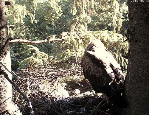 vlcsnap-2012-06-13-07h55m14s57.jpg