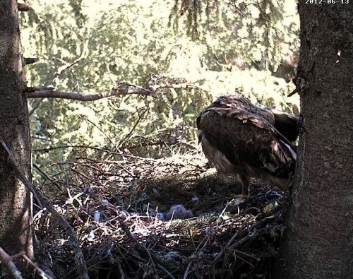vlcsnap-2012-06-13-09h50m08s130.jpg