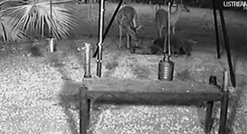 Florida_14_05_6.jpg
