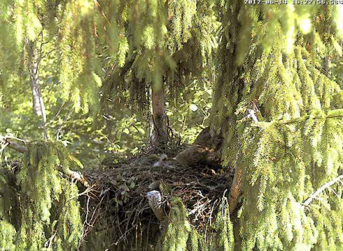 vlcsnap-2012-06-14-16h24m34s149.png