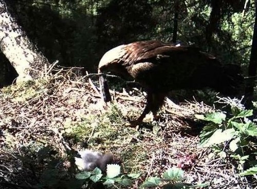 tuule 14.06.12 16.46.JPG