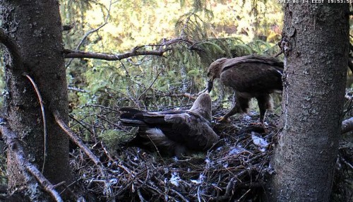 vlcsnap-2012-06-14-19h54m03s191.JPG