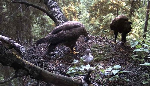 vlcsnap-2012-06-14-20h11m44s49.JPG