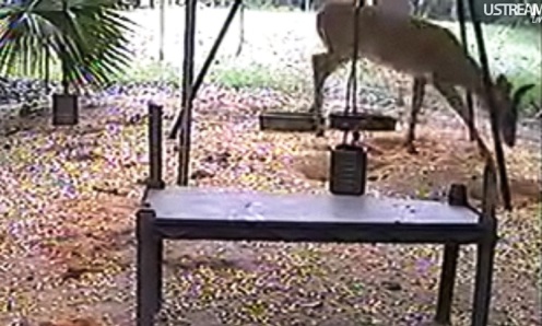 Florida_14_05_10.jpg