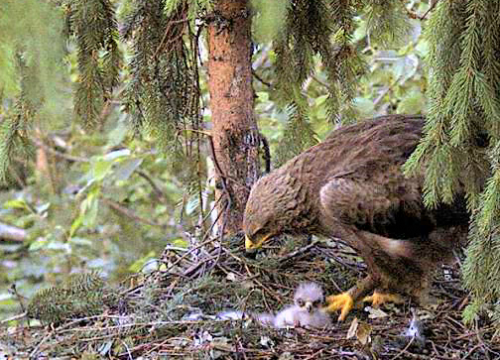 vlcsnap-2012-06-14-21h48m35s227.png
