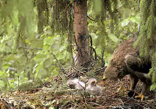 vlcsnap-2012-06-15-09h27m37s213.png