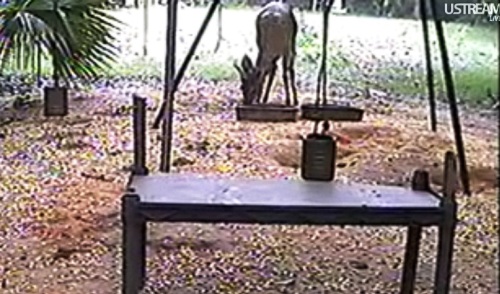 Florida_14_05_9.jpg