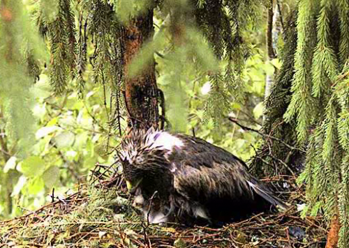 vlcsnap-2012-06-15-19h47m34s68.png