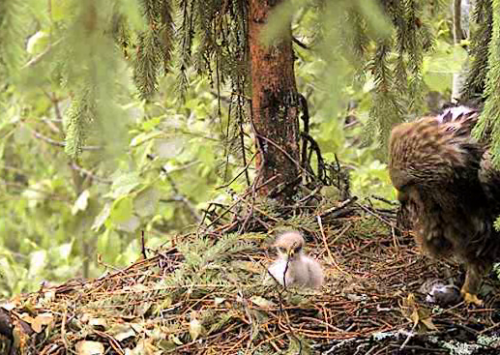 vlcsnap-2012-06-16-09h07m16s40.png
