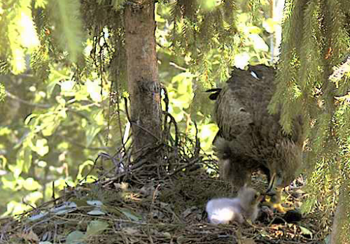 vlcsnap-2012-06-16-16h20m16s168.png