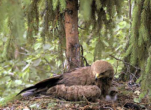 vlcsnap-2012-06-16-20h53m05s208.png