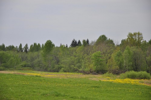 bilde 5.JPG