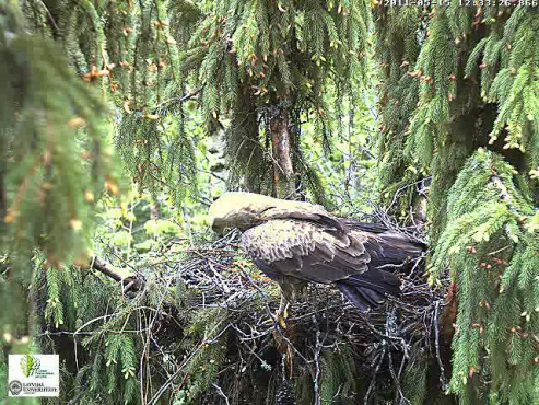 vlcsnap-2011-05-15-12h33m59s203.png