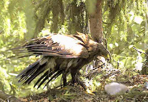 vlcsnap-2012-06-20-14h47m40s224.png