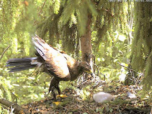 vlcsnap-2012-06-20-14h47m36s190.png