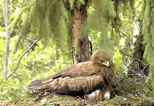 vlcsnap-2012-06-22-09h36m57s3.png