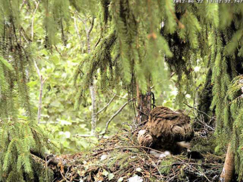 vlcsnap-2012-06-22-13h44m10s152.png