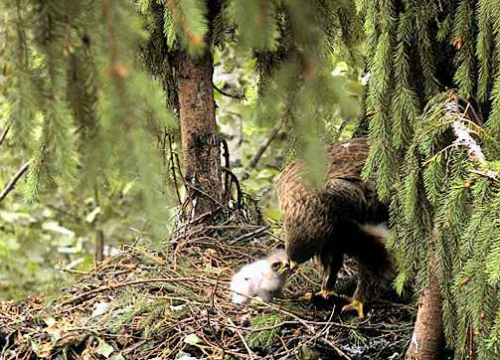 vlcsnap-2012-06-22-13h54m53s185.png